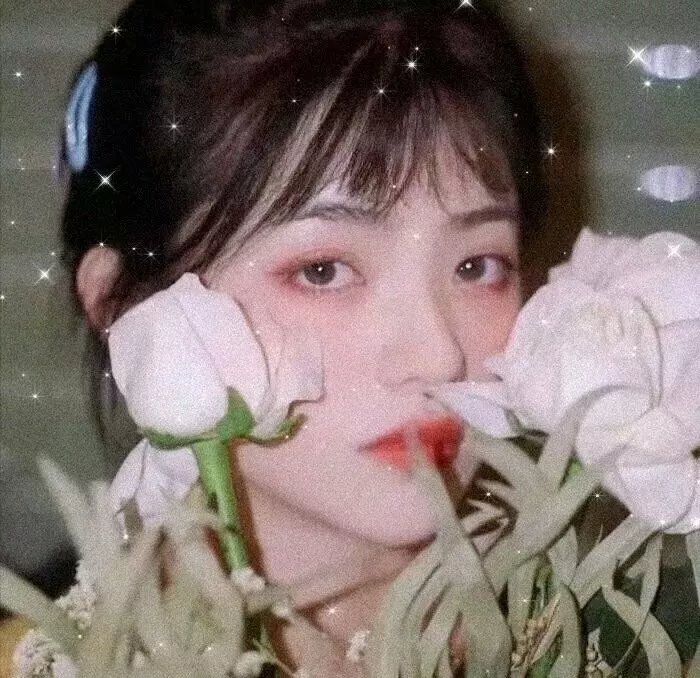 月歌