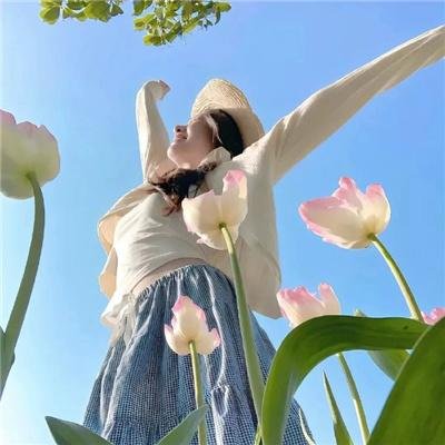 兔子和公牛